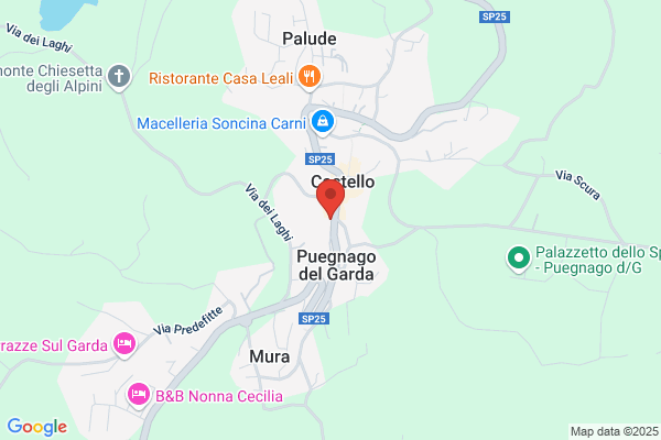 Comincioli Carlo Ernesto