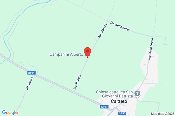 Campanini alberto (Dr.)