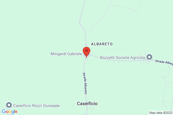 Mingardi gabriele