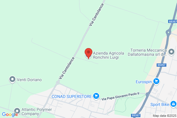 Ronchini luigi