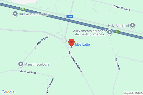 Idee Per La Testa Di Anelli M.