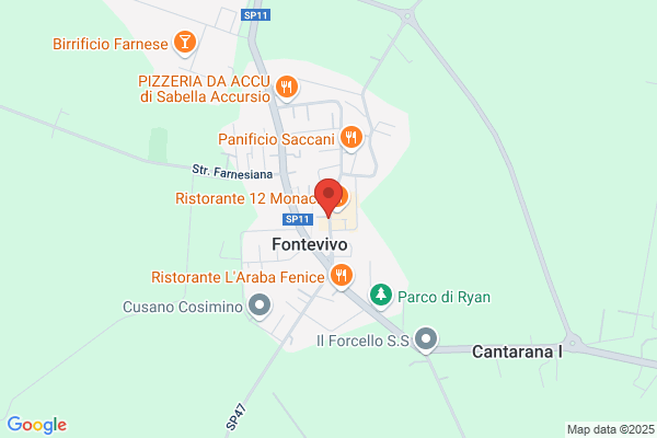 PAninArt