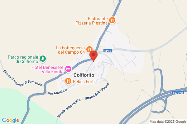 Foglino Palmina