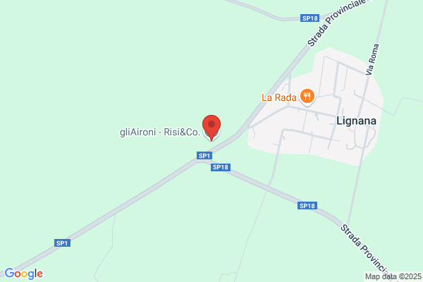 Lignana E. & Lazzarino A.