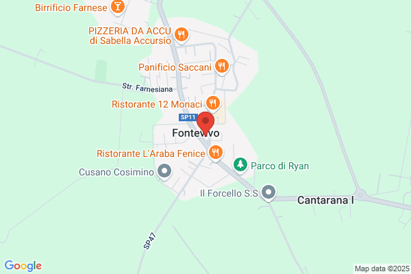 Elsa Corpo Vigili S.r.l.s