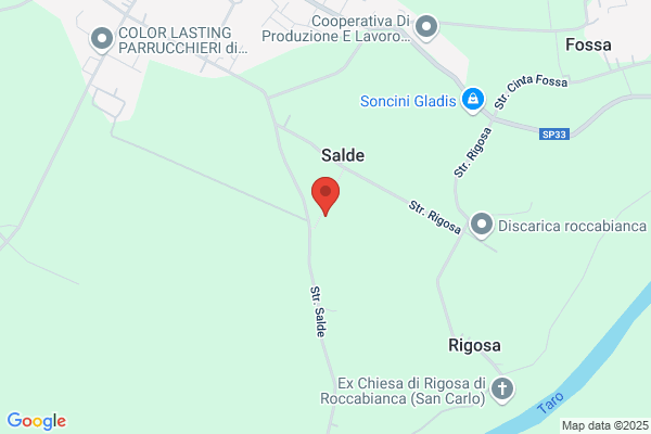Bolsi Impresa Edile