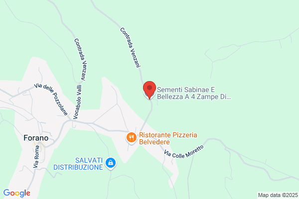 Pozzi elvira