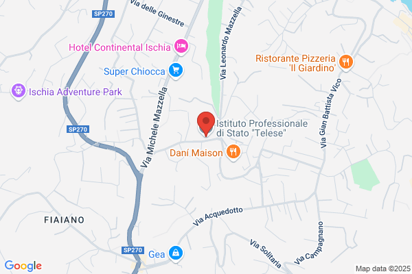 Istituto Prof.Di Stato Servizi Alberg.E.Ristorazione-Vincenzo Telese