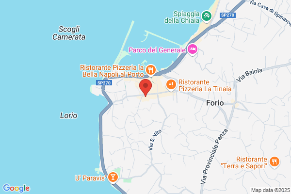 Ristorante Epomeo Di Cami Sas Di Calise Camillo E C.