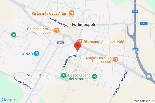 Gamma S.R.L.