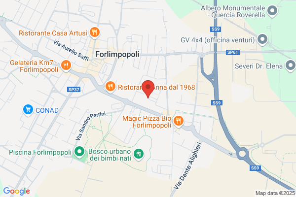 Santolini roberto (Ing.)