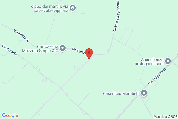 Escavazioni Forlimpopolesi Di Galasso Maria Assunta