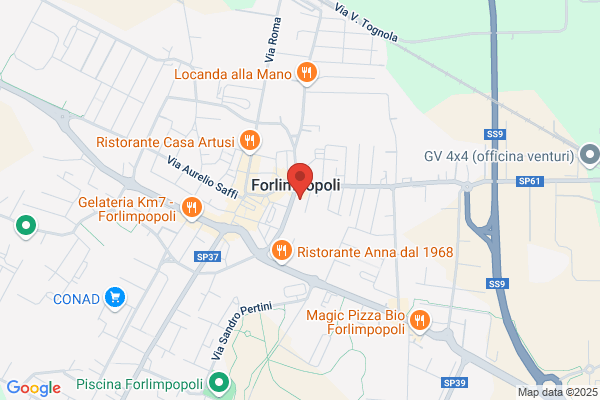 Tototony Di Castellucci Lorenzina