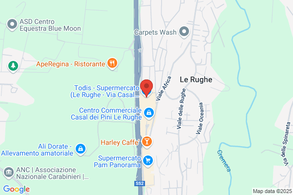 Todis - Supermercato (Le Rughe - Via Casal dei Pini 33)