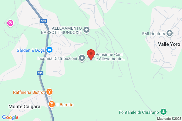 Allevamento degli Etruschi