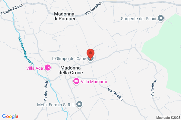 L'Olimpo del Cane