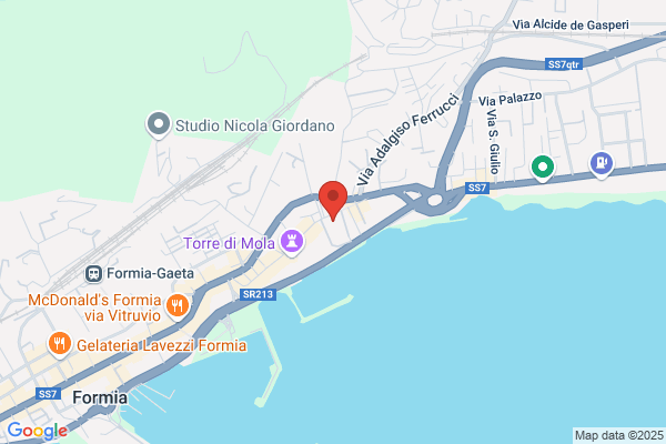 Ospedale Veterinario FormiaVet srl