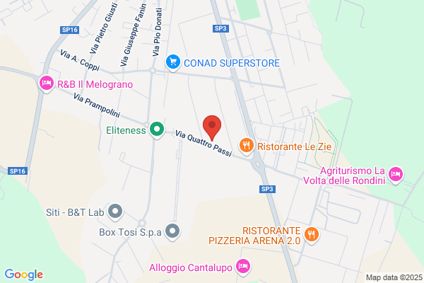 Raimondi Mesini tiziana