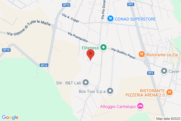 Nuova Edilragno (S.R.L.)
