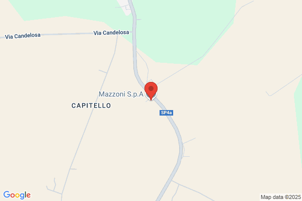 Mazzoni (S.R.L.)