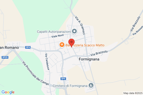 Partito Democratico Della Sinistra
