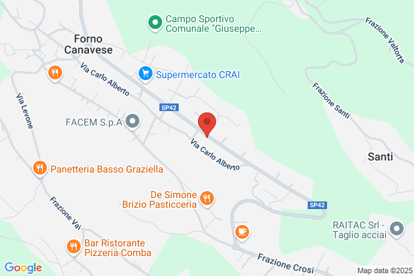 Autotrasporti Anese