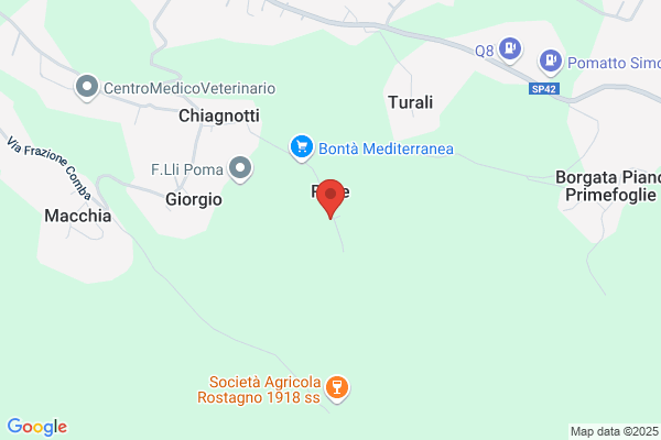 Mamone fedele