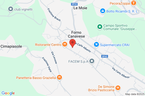 Moia fabrizio (Geom.)
