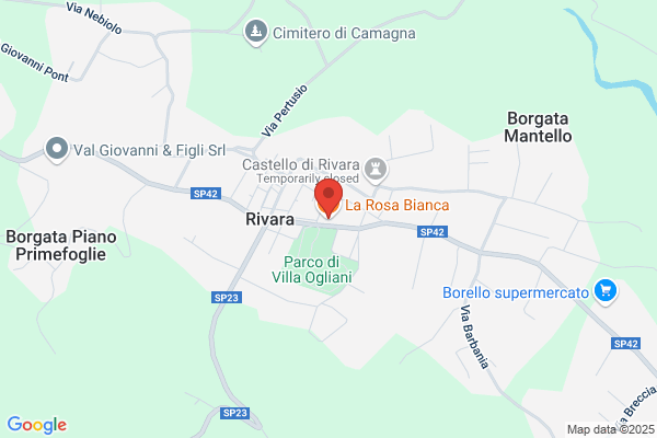Rosa Bianca