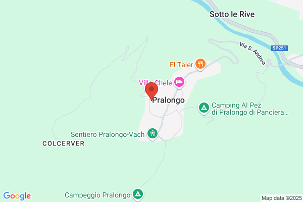 Panciera rino