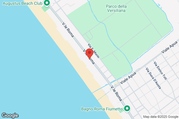 Hotel Versilia Palace