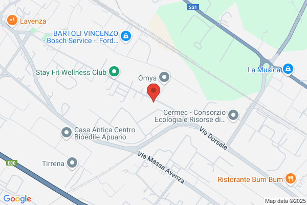 Ge.Se.Co. S.A.S. Di Serra Elena E C.