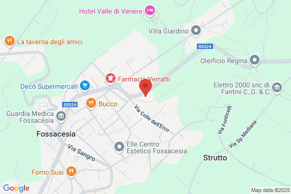 RP Il Buon Samaritano  - Gruppo La Villa