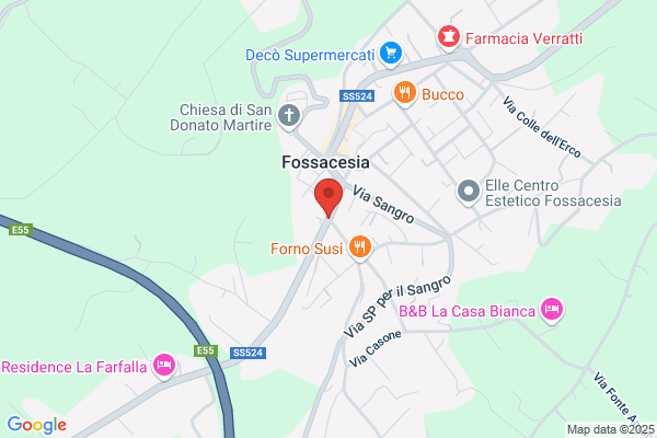 Federico Fabrizio