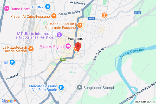 avvocato alida manfredi