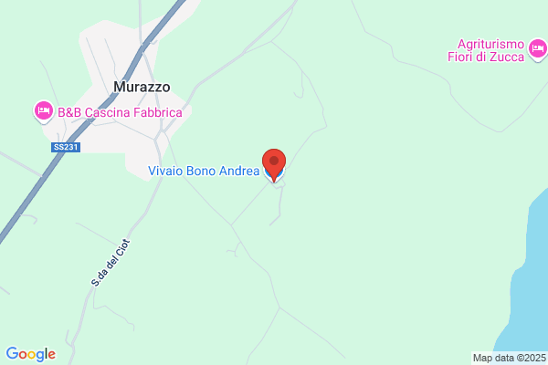 Vivaio Bono Andrea