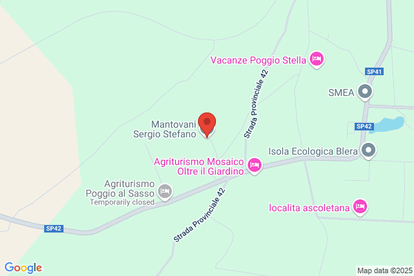 Mantovani sergio