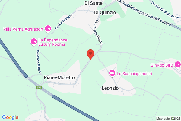 Parente Viaggi