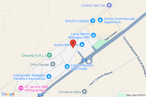 Traffic Electronic Control Service Srl