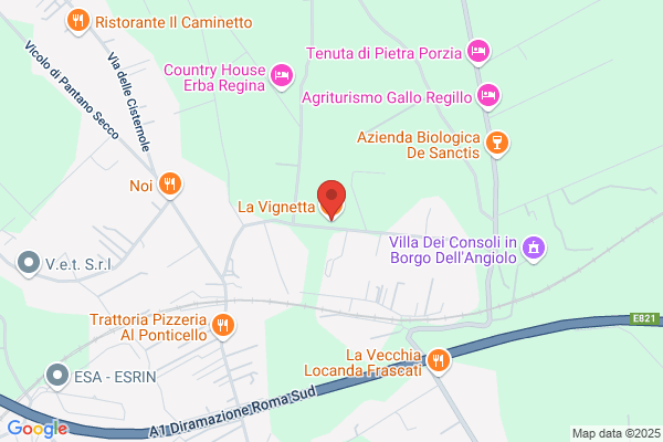 La Piazzetta Di Trastevere Snc Di Scattini Serenella