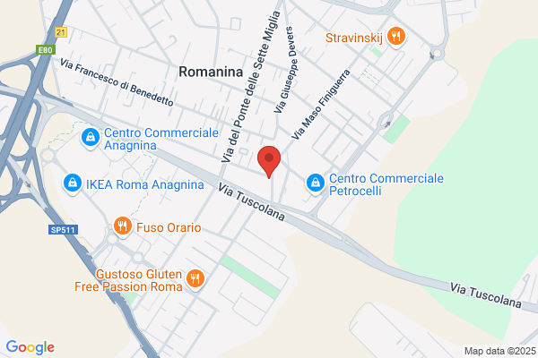 Caperna Bus Srl