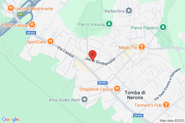 Ambulatorio Veterinario Associato Dott.Basini Aldo E Frola camillo