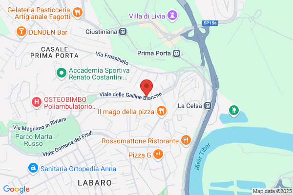 Figlie Della Carita