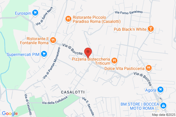 Fraternita Sacerdotale Dei Miss. Di San Carlo borromeo