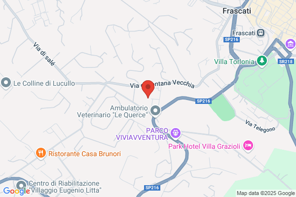 Fraternita Sacerdotale Delle Beatitudini