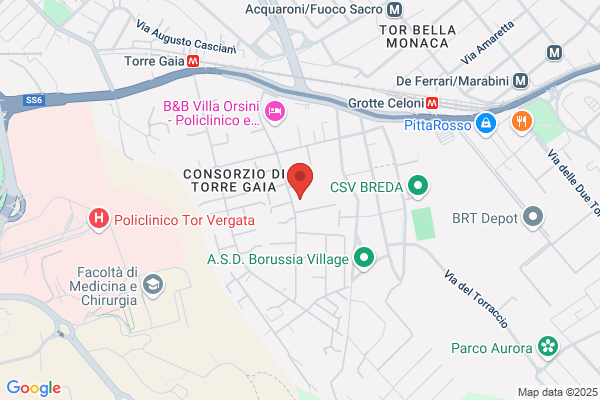 Istituto Suore Immacolato Cuore Di Maria