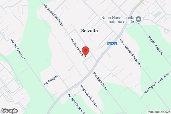 Di Renzo Sante S.N.C. Di Di Renzo S.