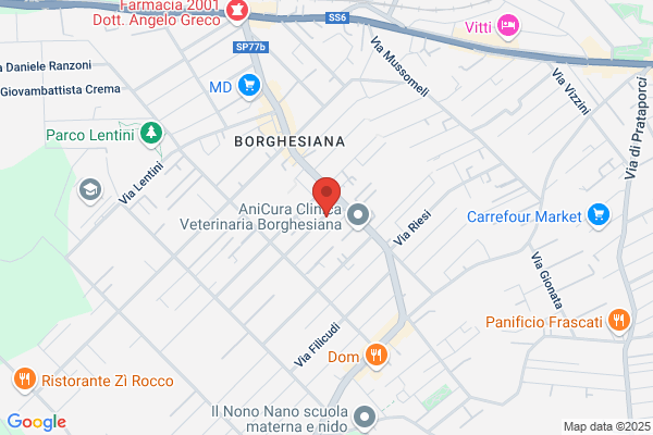 A testa Alta Borghesiana