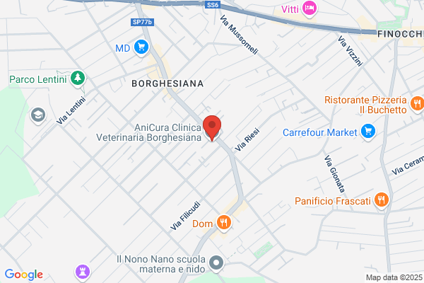 Clinica Veterinaria Bruxelles