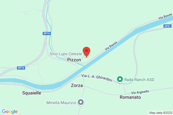 Volpe rino
